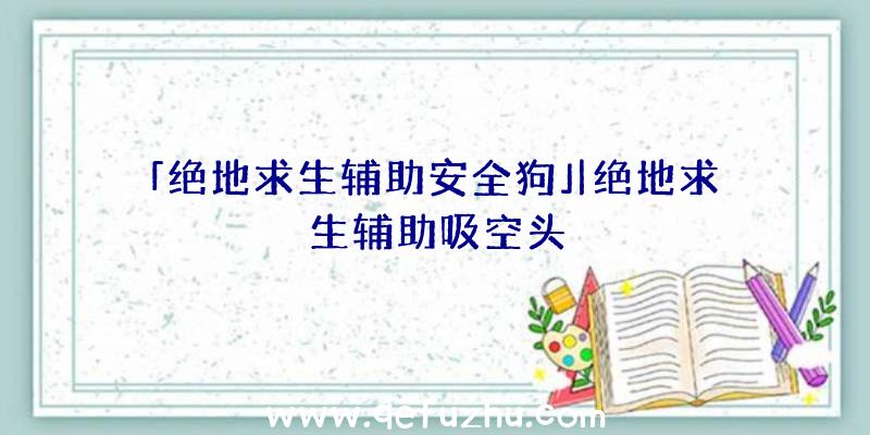 「绝地求生辅助安全狗」|绝地求生辅助吸空头